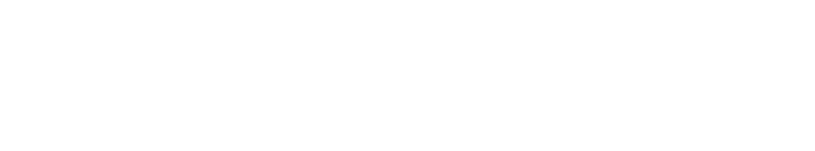 AllocateRosterPerform11 White logo